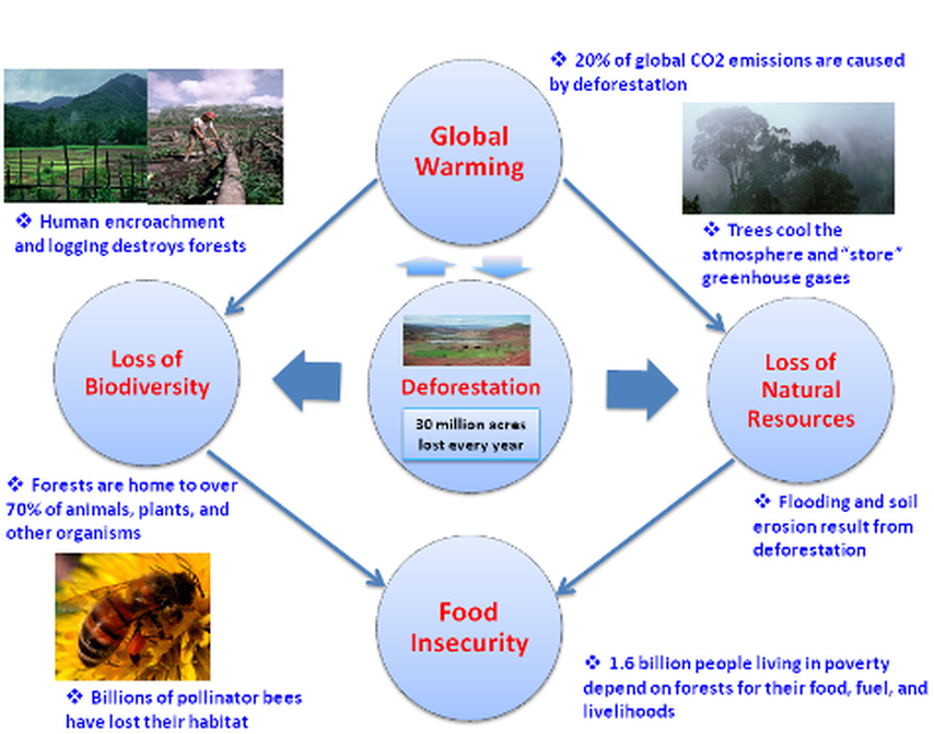Air Pollution Diagram